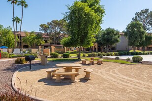 Olive Tree in Glendale, AZ - Building Photo