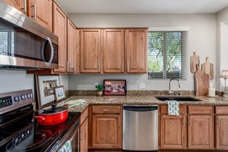 15240 N 142nd Ave in Surprise, AZ - Foto de edificio - Building Photo