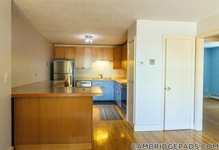 11 Cogswell Ave in Cambridge, MA - Building Photo - Building Photo
