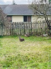 581 SW 3rd Ave in Oak Harbor, WA - Building Photo - Building Photo