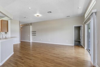 2010 Shelbourne Ct in Wesley Chapel, FL - Building Photo - Building Photo