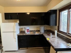 218 Section St in Stephenson, MI - Building Photo