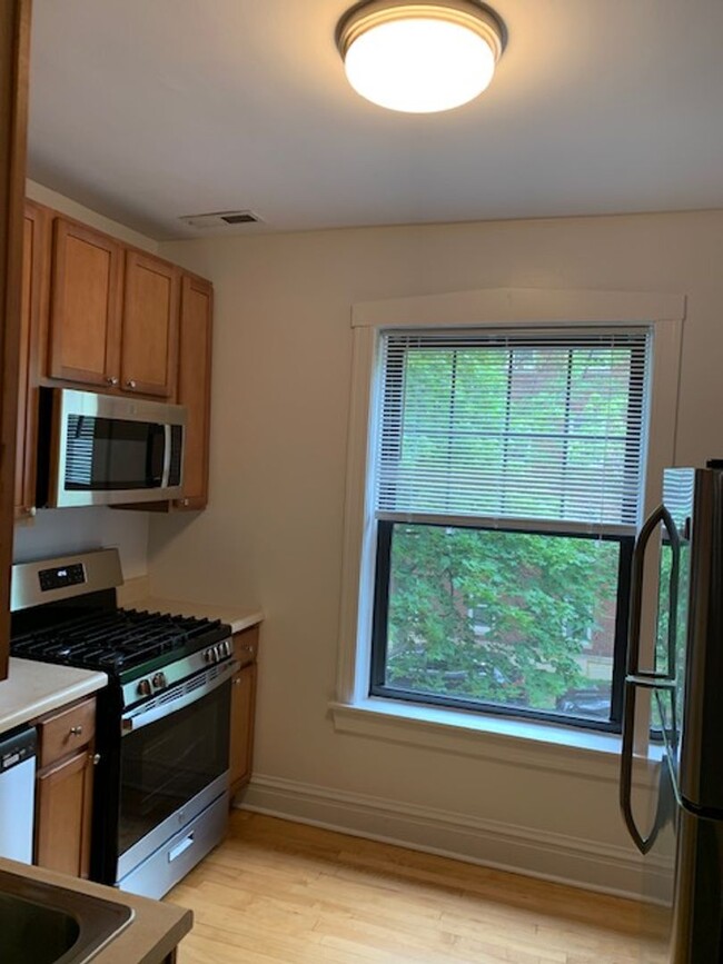2301 W Addison St, Unit 2 in Chicago, IL - Building Photo - Building Photo