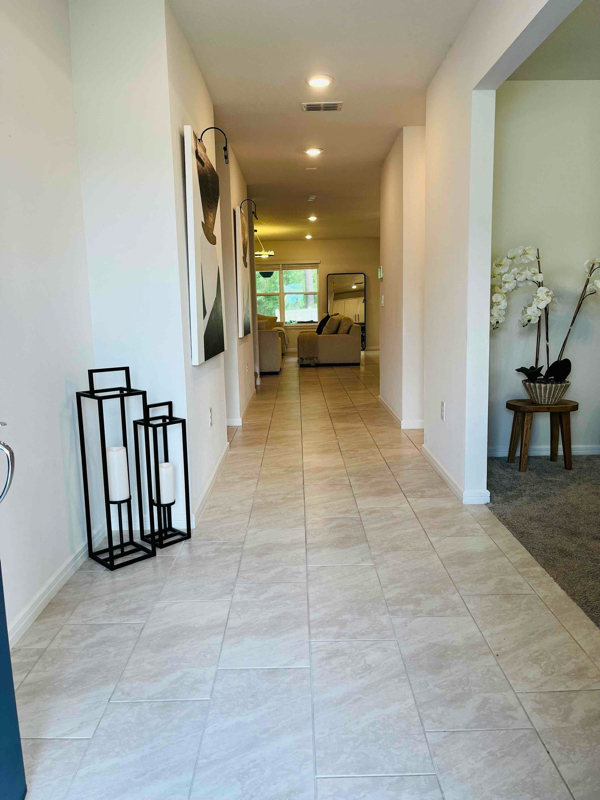 30572 Thunderbird Dr in Wesley Chapel, FL - Building Photo - Building Photo