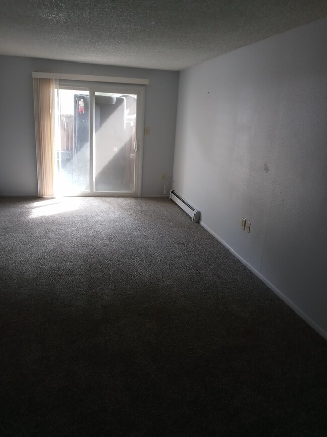 345 Idaho St, Unit #307 in Idaho Springs, CO - Foto de edificio - Building Photo