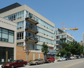 Timber Loft Building in Chicago, IL - Building Photo - Building Photo