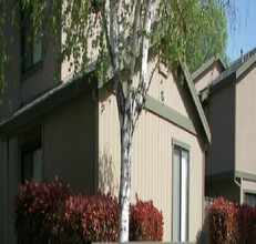 Almondwood Apartments in Davis, CA - Building Photo - Building Photo