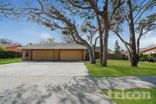 1009 Jamaica Way in Tarpon Springs, FL - Building Photo