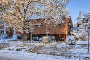 1243 Vine St in Denver, CO - Building Photo