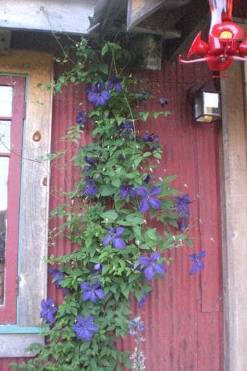 40 Henry Houghtaling Rd in Hurleyville, NY - Building Photo - Building Photo