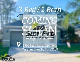 2704 Star Coral Ln in New Smyrna Beach, FL - Building Photo