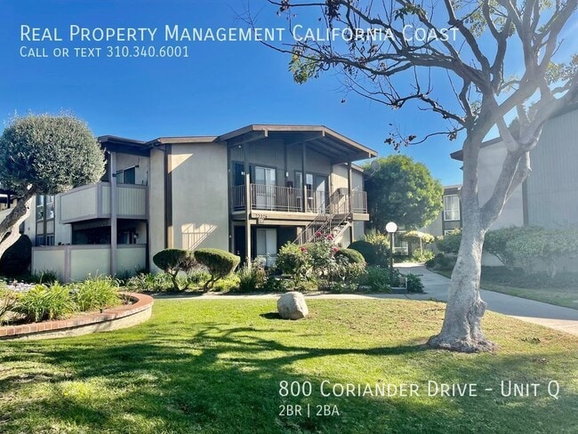 800 Coriander Dr