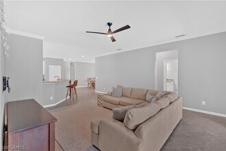 4246 Raffia Preserve Way in Naples, FL - Building Photo - Building Photo