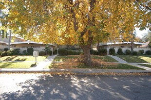 920 Stillman Ave in Redlands, CA - Building Photo