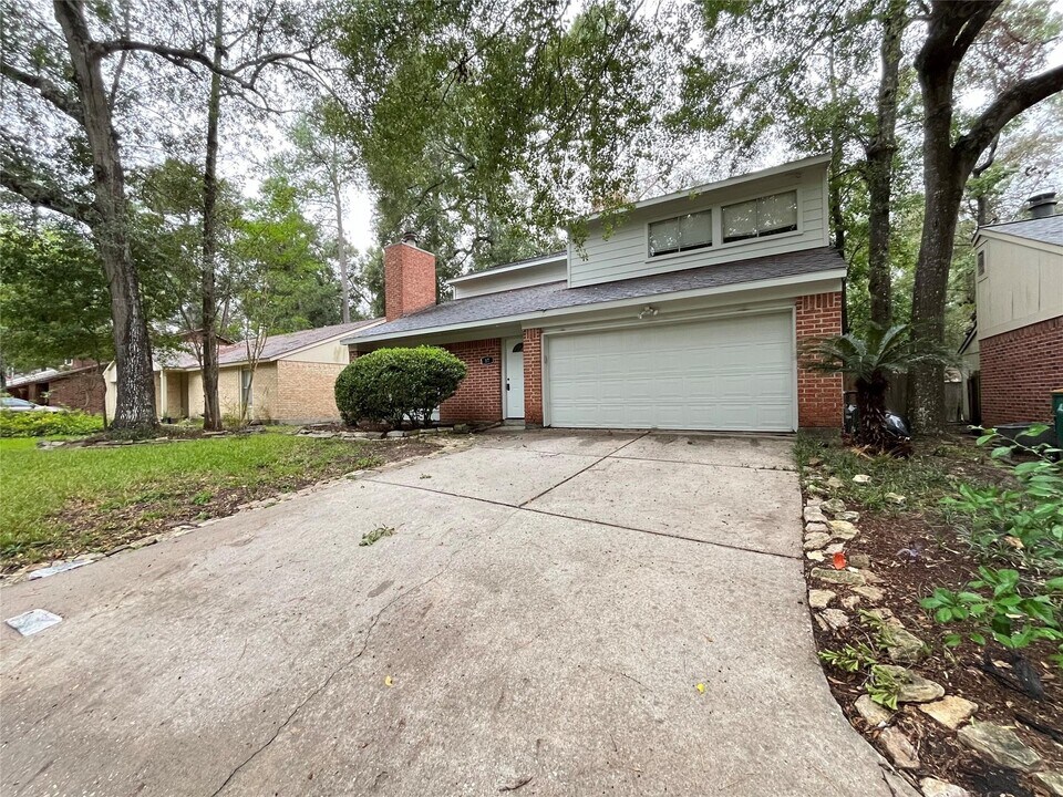 17 Briervine Ct in Spring, TX - Building Photo