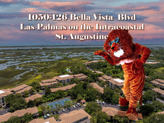 property at 1050 Bella Vista Blvd
