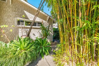 49 Karl Ave in San Anselmo, CA - Foto de edificio - Building Photo