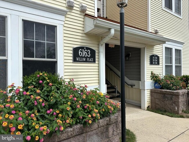 property at 6163 Willow Pl