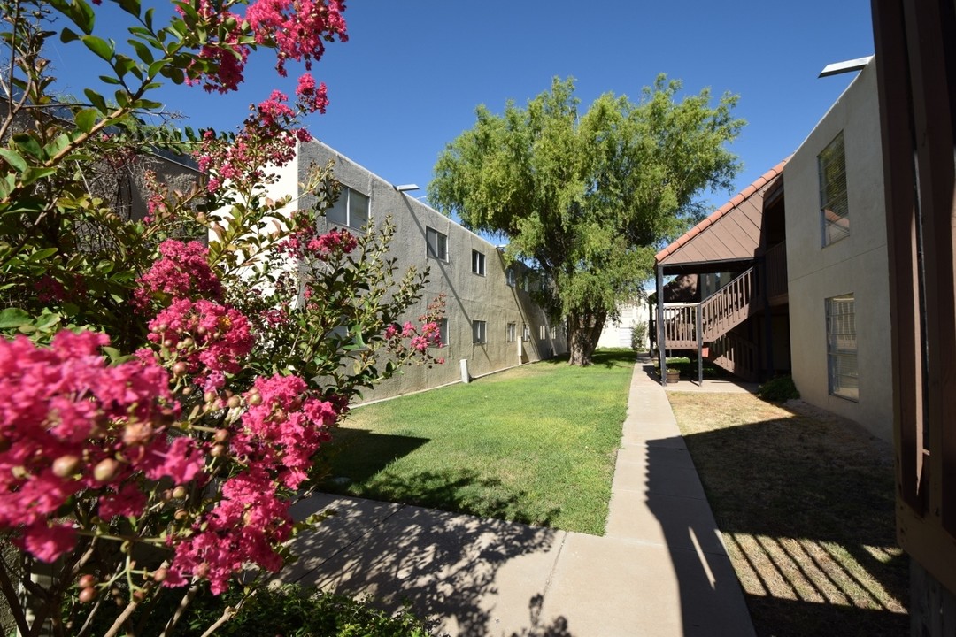 Bella Terra Apartments in Hobbs, NM - Building Photo