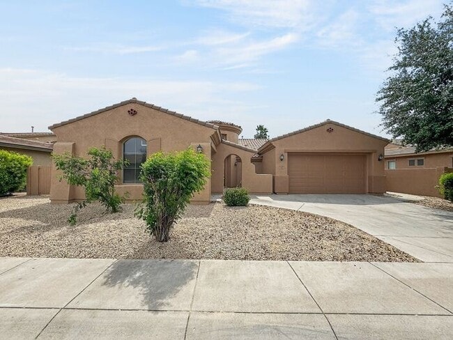 3397 E Raven Dr in Chandler, AZ - Building Photo - Building Photo