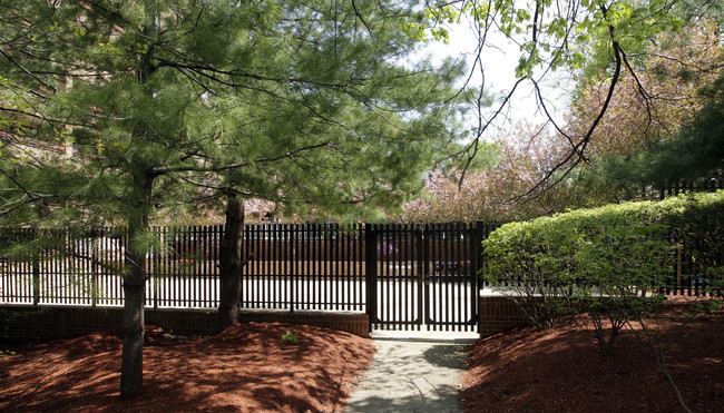 Beacon Street Apartments, 1111 in Brookline, MA - Building Photo - Building Photo