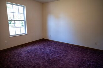 733 W Maple St in Flora, IL - Foto de edificio - Building Photo