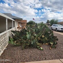 12665 N Augusta Dr in Sun City, AZ - Building Photo - Building Photo