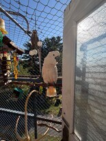 101 Ten Broeck Ln, Unit For The Birds in Hudson, NY - Building Photo