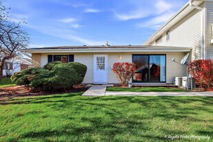 1303 Forestdale Ct in Schaumburg, IL - Building Photo