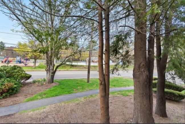 property at 224 School St