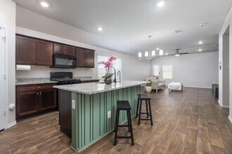 105 Black Wolf Run in San Marcos, TX - Building Photo - Building Photo