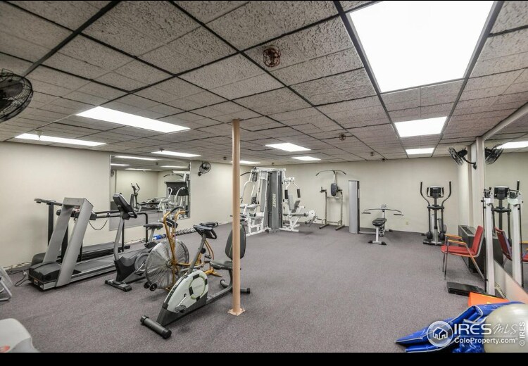 421 S Howes St in Fort Collins, CO - Building Photo