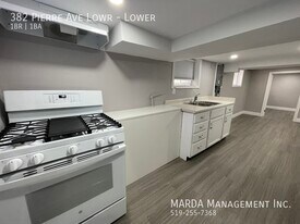 382 Pierre Ave in Windsor, ON - Building Photo