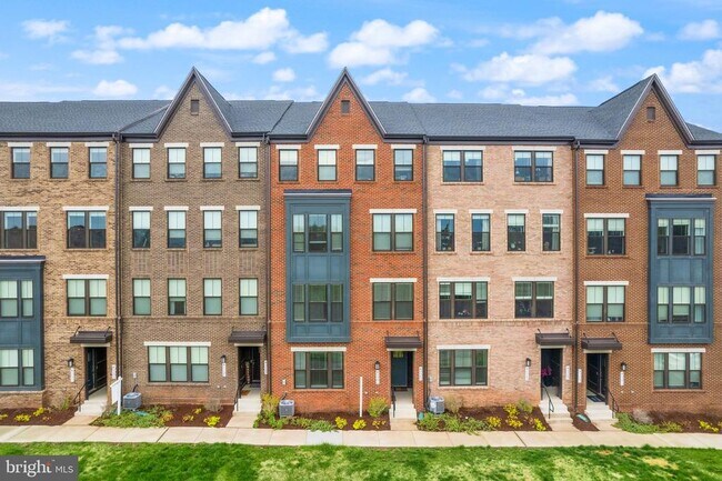 43361 Radford Divide Ter in Ashburn, VA - Building Photo - Building Photo