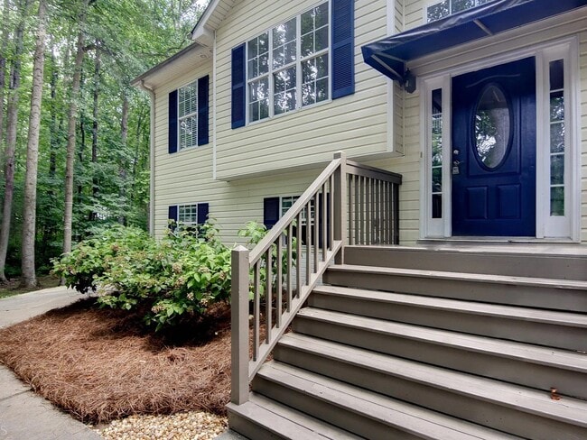 68 Dundee Pl in Sharpsburg, GA - Building Photo - Building Photo
