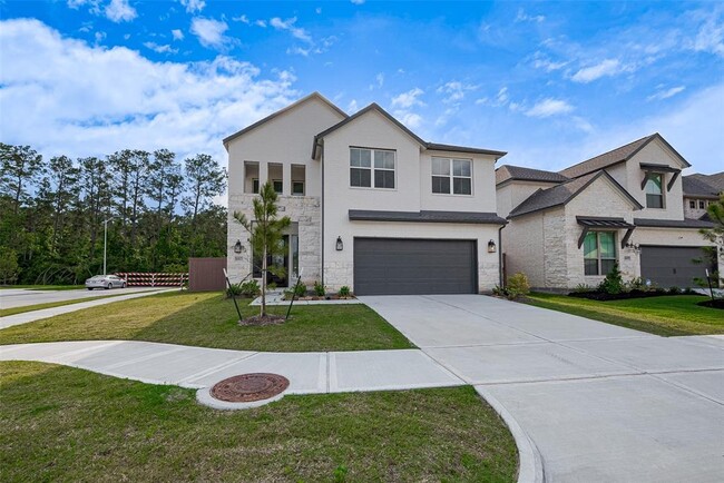 16803 Jacobs Peak Path in Humble, TX - Building Photo - Building Photo