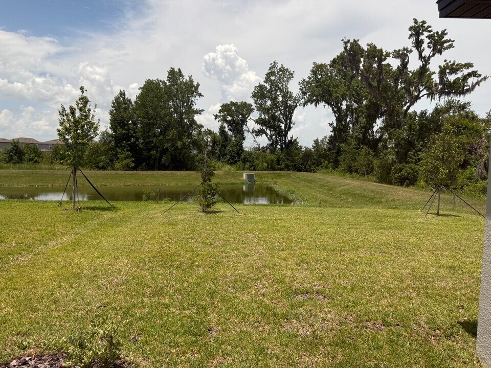 3605 Great Pk Ct in Plant City, FL - Building Photo