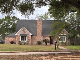 20610 Shillington Ct in Katy, TX - Building Photo
