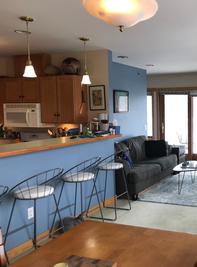 715 Hill St, Unit 302 in Madison, WI - Building Photo - Building Photo