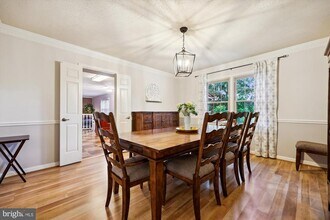 11828 Dinwiddie Dr in Rockville, MD - Building Photo - Building Photo