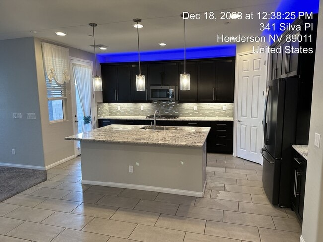343 Silva Pl in Henderson, NV - Building Photo - Building Photo