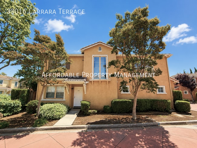 property at 33016 Carrara Terrace