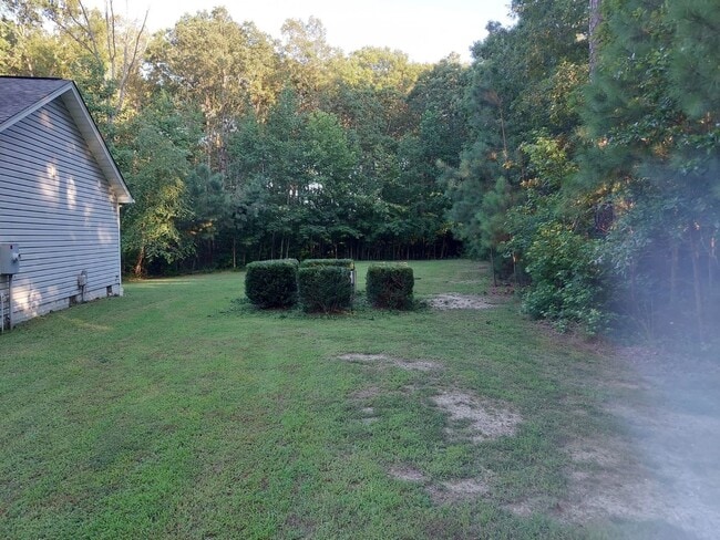 163 American Dr in Ruther Glen, VA - Building Photo - Building Photo