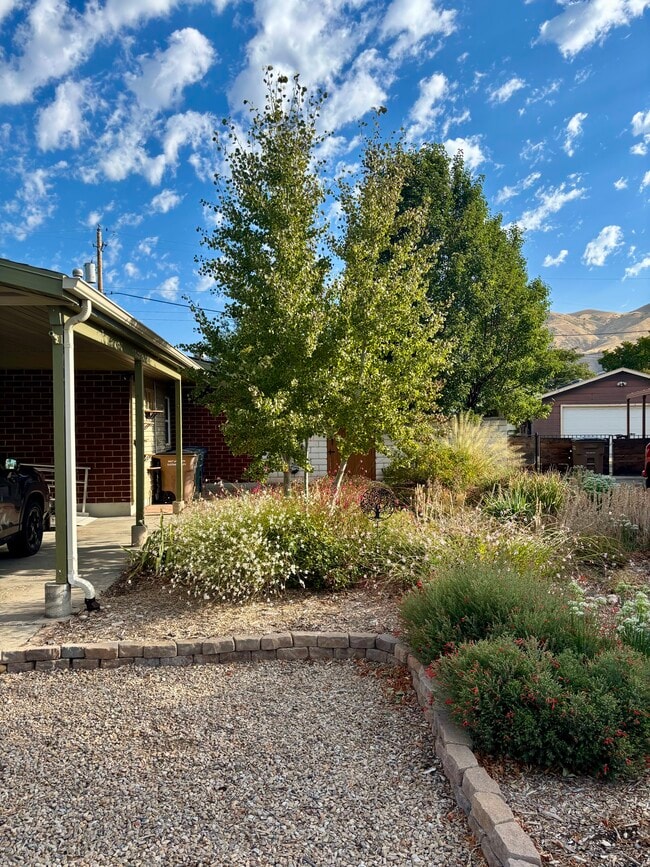 1146 Taffeta Dr in Salt Lake City, UT - Building Photo - Building Photo