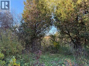 425 Old Oak Dr in Waterloo, ON - Building Photo - Building Photo