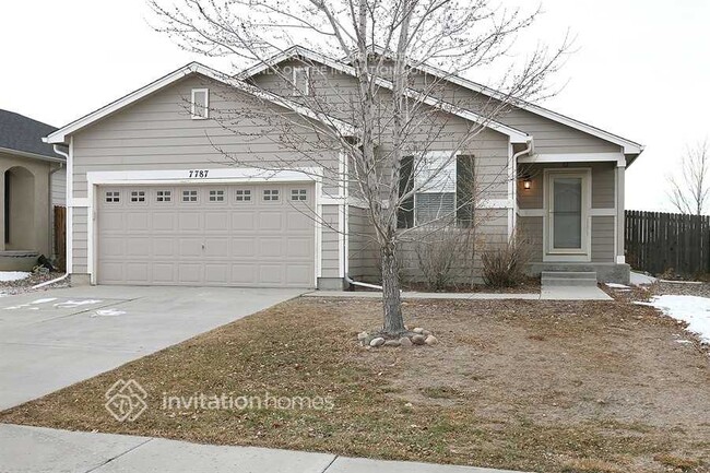 property at 7787 Barn Owl Dr