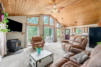 247 Anderson Rd in Bailey, CO - Building Photo - Building Photo