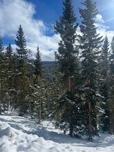 92 Club House Rd in Breckenridge, CO - Building Photo - Building Photo