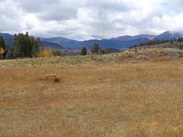 property at 21630 US-6
