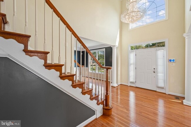 306 Nova Ct in Silver Spring, MD - Building Photo - Building Photo